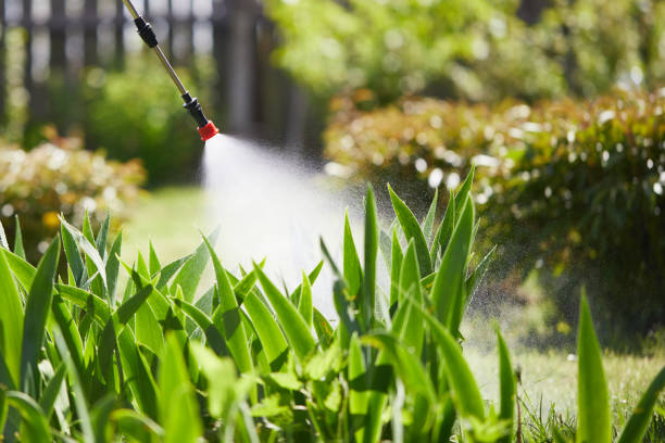 24/7 Emergency Cockroach Control experts in McFarland, CA